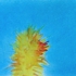 Pa-desert_image_1