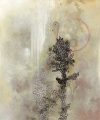 Mmaw_nov_08_image