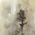 Mmaw_nov_08_image