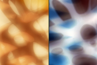 Untitled,Amanda Dow Thompson