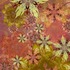20110815160516-morning_star_bouquet