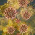 20110815161119-twilight_blossom_bouquet