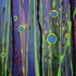 20110816075236-funky_forest_grass_1_003