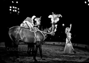 20110816120129-preview_watermark_creatorcircus-