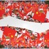 20110817080016-flags_torches_02
