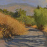 20110817095927-weeds_and_pepper_trees_18x24_holladay