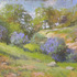 20110817100216-bush_lupine_sequoia_10x12_holladay