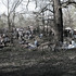 20110817161213-ankunft-900