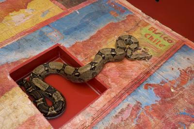 20110817193606-73-anaconda_map_of_chile_2_americas_society__2005