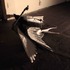 20110818174254-leo_cohen_s