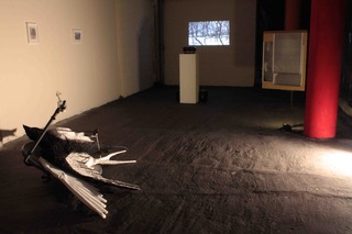 Installation View,