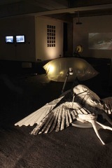 Installation View,