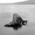 20110818182649-byrne_web