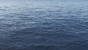 20110819103417-calm041411a1d