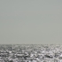 Sealge02