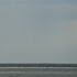 Sealge06
