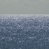 Sealge08