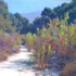 Eaton_canyon_12x16__1_900
