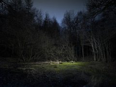 20110820235446-nick_rochowski_-_liminal_points_the_woods