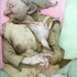20110821005930-one_can_hardly_bear_to_watch