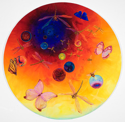 ,Lisa Dinhofer