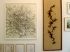 20110822140544-new_image1