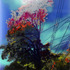20110824062300-powerline_tree_6_oil_and_spraypaint_on_acrylic_sheet_48x24_inches_2011