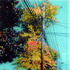 20110824062835-power_line_tree_4_enamel_on_acrylic_sheet_24x24in_2009_lr
