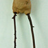 20110824085742-dream_walker_copy