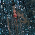 20110825095931-puce