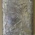 20110825122454-jimi_gleason_diffuser