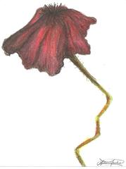 20110825234417-defeat