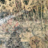 20110826042630-view_1