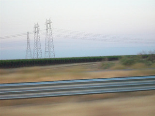 Electricity Gone By,Teresa Lakier
