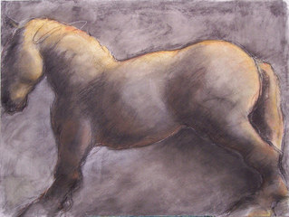 Horse Profile,Kate Hoffman