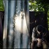 20110826122105-thinking_curtain