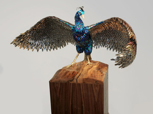20110826143154-roth_regalia