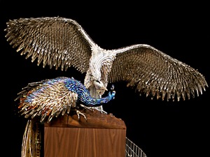 20110826143707-02_roth_ripleysdetail