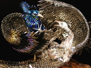 20110826143807-05_roth_plumage