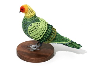 20110826144111-18_roth_carolinaparakeet