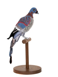 20110826144217-20_roth_passengerpigeon