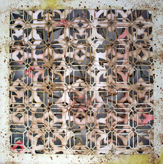Honeysuckle,Lisa Schmaltz