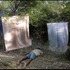 20110829152016-dead_bum