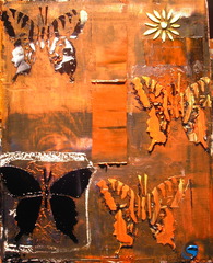 Summer\'s Gone,Joey Wozniak