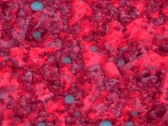 20110831074519-red_forsaken