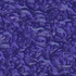 20110831075738-blue_cyanophyta