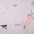20110901050332-twombly_is_dead_72
