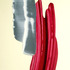 20110901093331-blood_and_bone