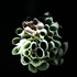 20110901110056-_mg_4985