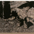 20110901121818-gl_8366_-_girl_lying_down_small